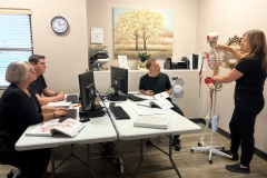 Teacher-instructing-using-Skeleton-Prop-scaled